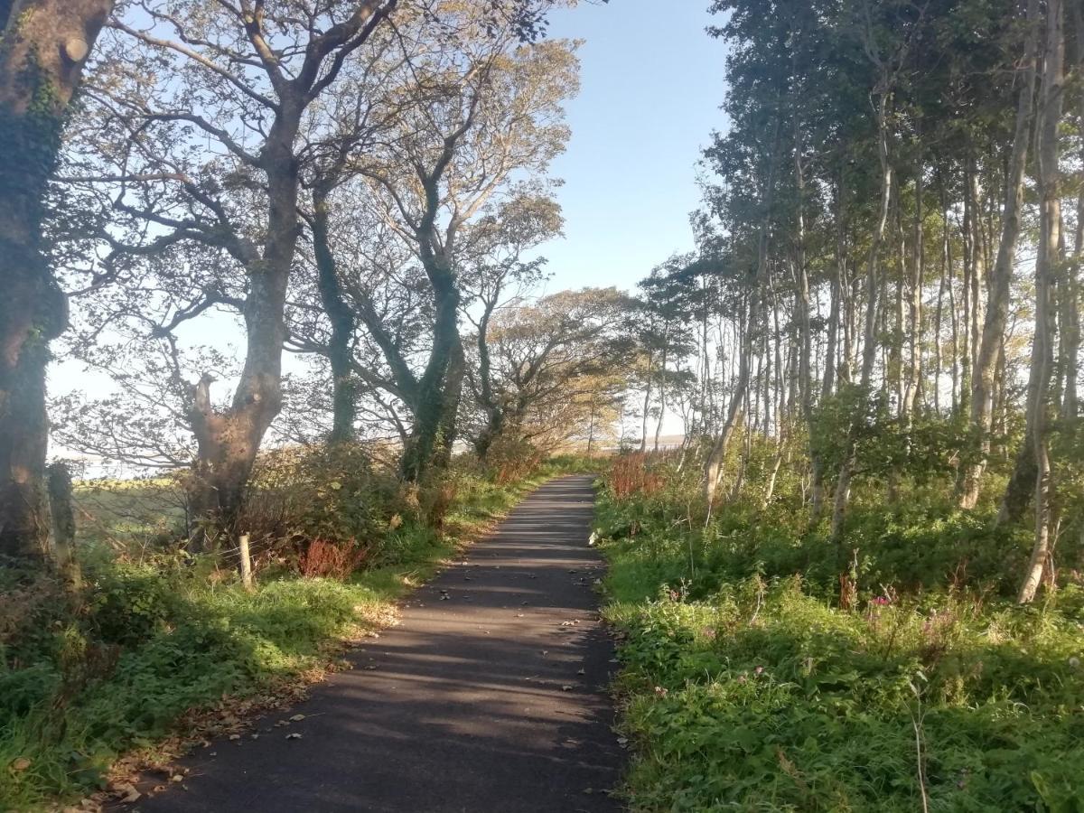 Pier Road Appartamento Westport